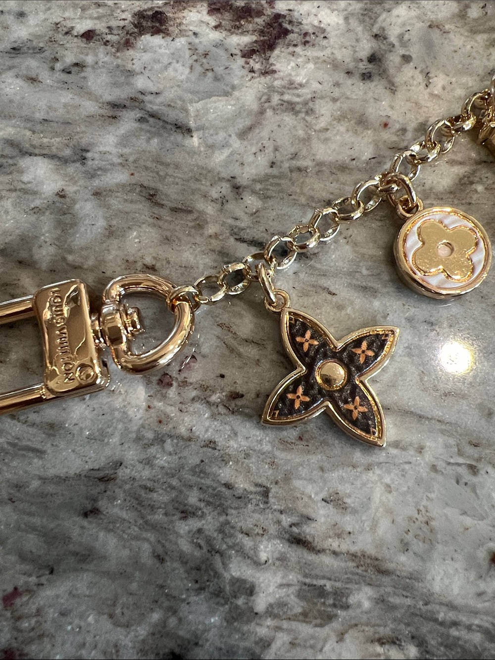 Louis Vuitton Spring Street Chain Bag Charm (LVXX010) - Picture 10 of 12
